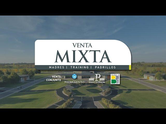  Venta Mixta / Haras Firmamento y Haras La Pasión / Martes 23 de Abril 2024 a las 14 H