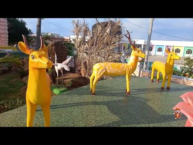 Mèo Tom review con hưu sao   My talking Tom cat reviews deer