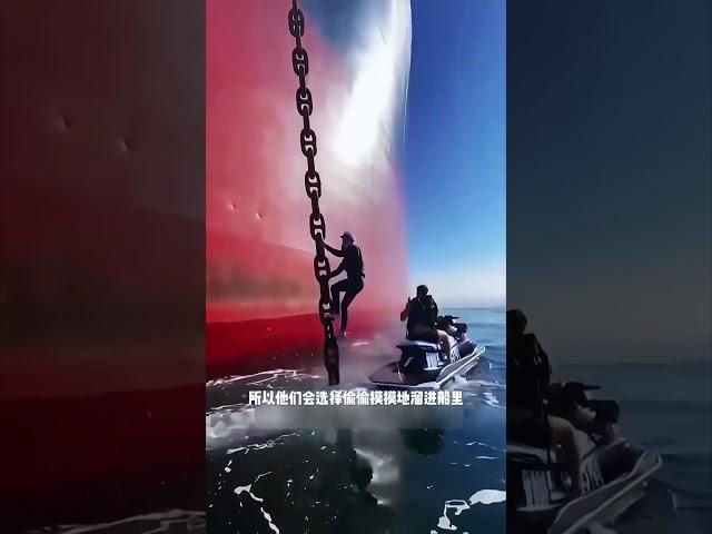 偷渡者到底有多可怕#科普 #知识 #冷知识