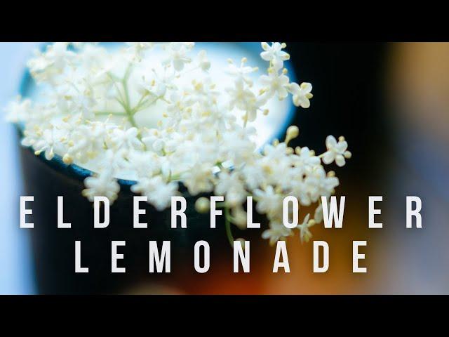 Elderflower & Spruce Lemonade