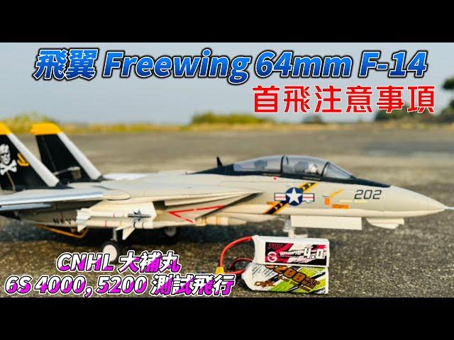 首飛注意事項!  Freewing  飛翼 NEW  TWIN 雙 64mm F-14 雄貓 Tomcat  + CNHL 大補丸 6S 4000-5200 電池 里港測試飛行