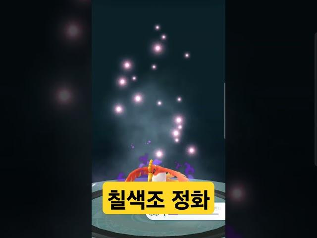 칠색조 정화