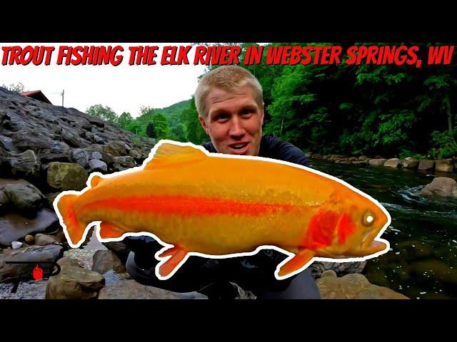 Trout Fishing West Virginia's Elk River (In Webster Springs)