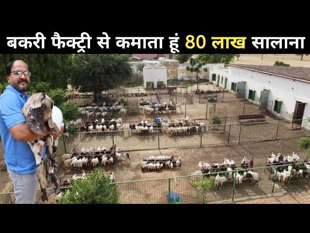 इंजीनियर साहब की करोड़ों की बकरी फैक्ट्री | Goat Farming | Goat Farming Business | Goat Farm Tour