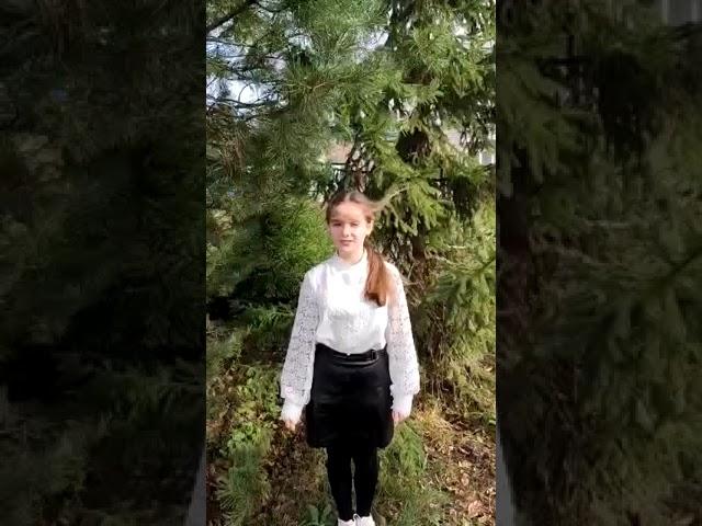 Фролова Вероника «Знойный ветер пахнет мятой...»