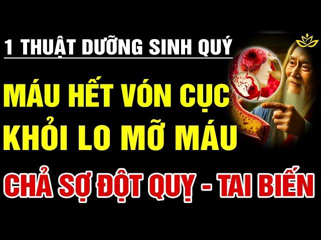 [Quý] 1 THUẬT DƯỠNG SINH CẦN HỌC NGAY ĐỂ VỀ GIÀ SỐNG KHỎE THỌ, Lời Dạy Cổ Nhân Trí Tuệ | BTT