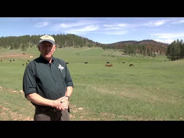 Today's Forest: Introduction to Forest Stewardship