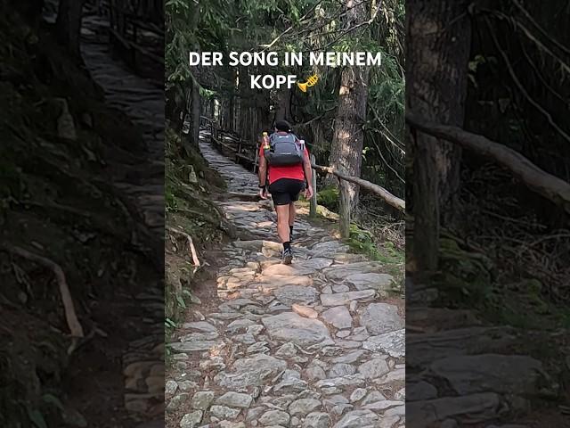 Welchen Song hast du ständig im Kopf beim Sport? #mountains #hike #shorts #song #lordoftherings