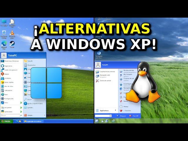 Como tener XP en 2024 SIN MORIR en el intento