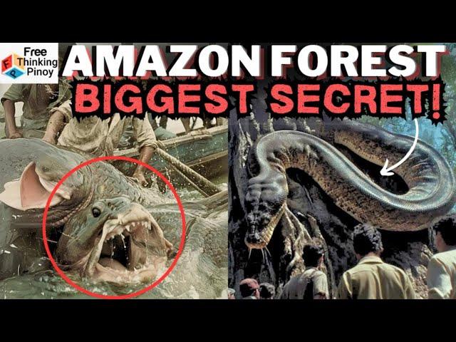 COMPILATION Misteryo at HIWAGA ng AMAZON FOREST | Mysterious Creatures of South America