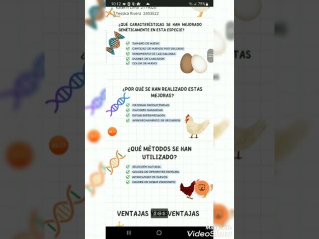 mejoras geneticas en gallinas ponedoras