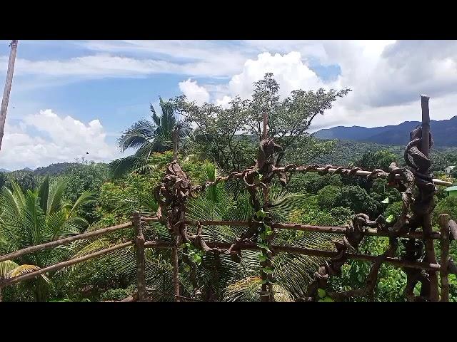 LOOKING FOR FARM LOT AND RESIDENTIAL LOT IN TANAY RIZAL?!?!?!?