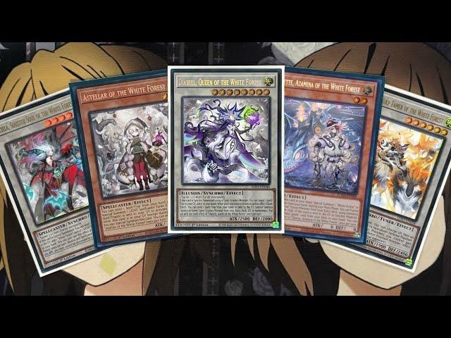 My White Forest Yugioh Deck Profile for Post Supreme Darkness