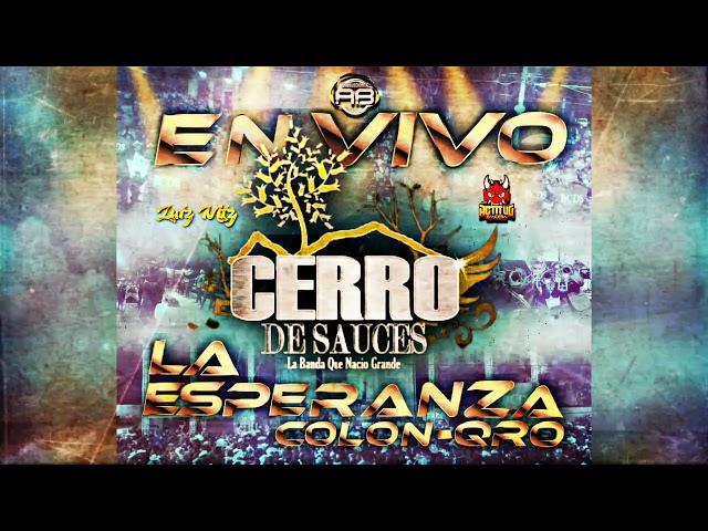 EL CUMBEACHERO | BANDA CERRO DE SAUCES (En Vivo Desde La Esperanza Colon Qro 2022)