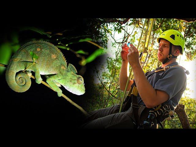 Mysterious Ants in Madagascar | The Ant Explorer