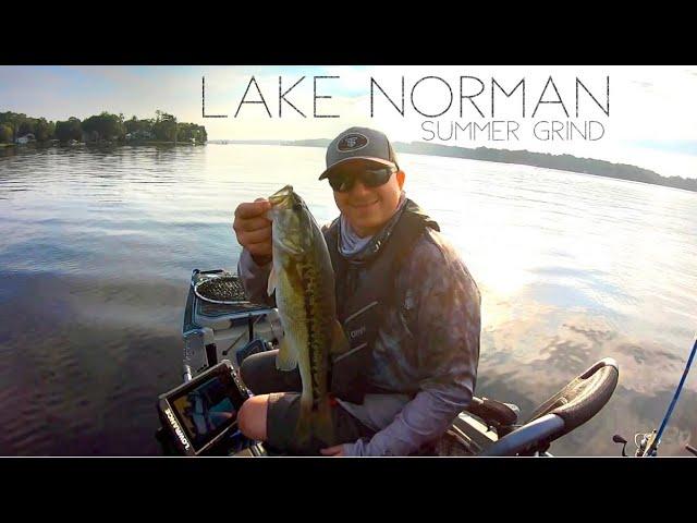 Lake Norman Bass Fishing / I covered a sh%t ton of water for this..