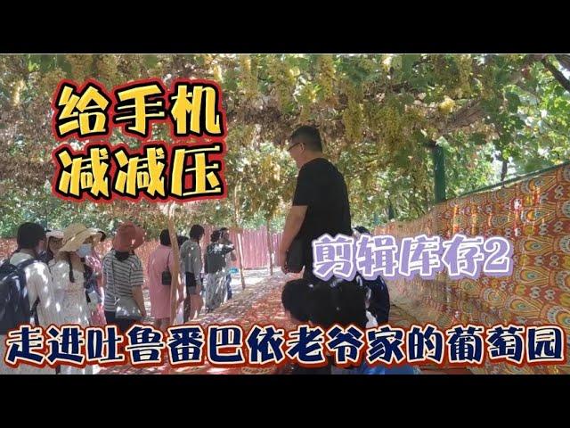 家庭的感动瞬间：爱在行动中传递 58