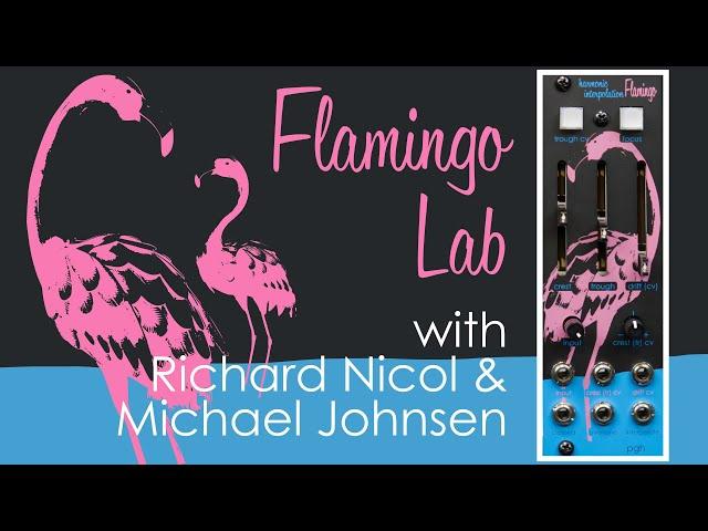 New Module Flamingo Patch Lab with Richard Nicol and Michael Johnsen