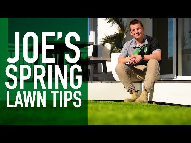 7 Spring Turf Tips from an Industry Expert | Joe’s Favourite Lawn Tips in Preparation for Spring