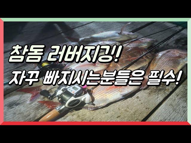 참돔 타이라바, 입질받고 자꾸 빠지시는분!? [석이피싱TV]