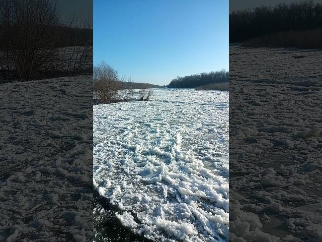 Desna river in spring