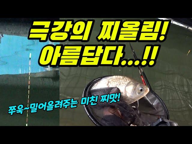 (SUB) BEAUTIFUL Float Moving!!! /carp fishing/float fishing/へらぶな herabuna