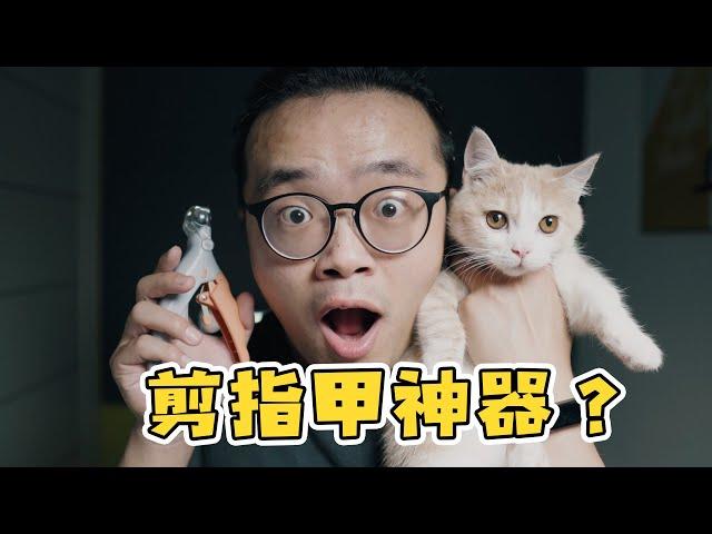 猫咪剪指甲神器！