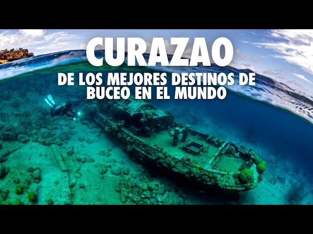 CURAZAO  | Asi se ve el Buceo en Curaçao