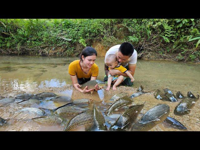 Live in the forest for 2 years, Harvest Fish, Forest Fruits, Jackfruit, Smoked Duck goes market sell