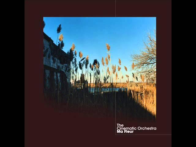 Cinematic Orchestra -  All Things To All Men