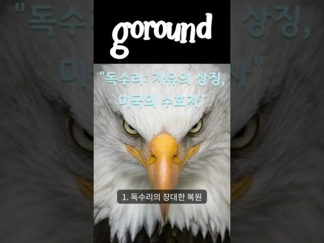 "독수리: 자유의 상징, 미국의 수호자" #독수리 #자유 #미국 #환경보호 #상징
