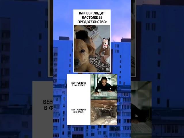 #мем #youtube #ржака #ржач