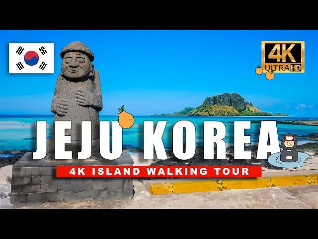 4K Jeju Island Walking Tour  Beach & Green Tea Fields - Relaxing Walk in Korea  4K HDR 60fps