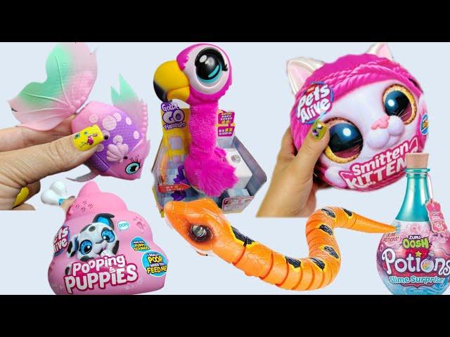 BIG ZURU SET | ASMR | 130 min Satisfying with Unboxing.ROBO SNAKE,Smitten kittens,Robo fish,Slime...