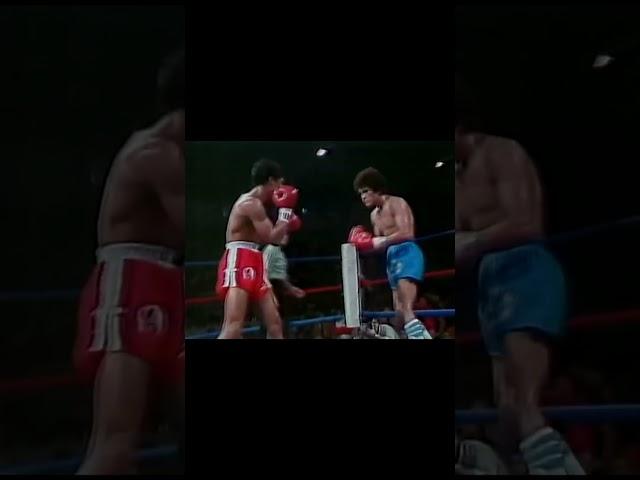 El hermoso boxeo de Salvador Sánchez | Beautiful boxing By Salvador Sánchez