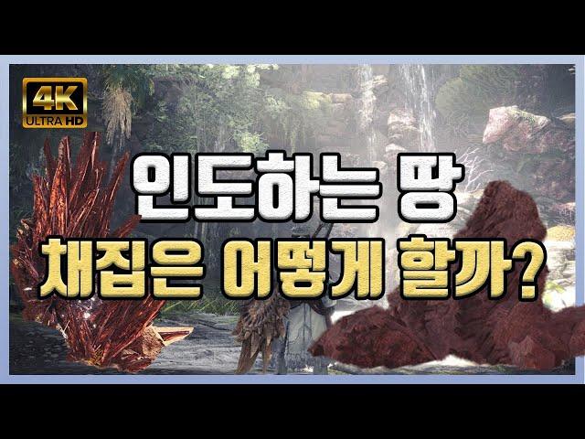 인도하는 땅 채집 완벽 가이드 (4K) [몬스터 헌터 월드: 아이스본]