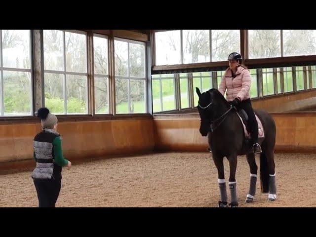 Dressage Horse Training | Canter