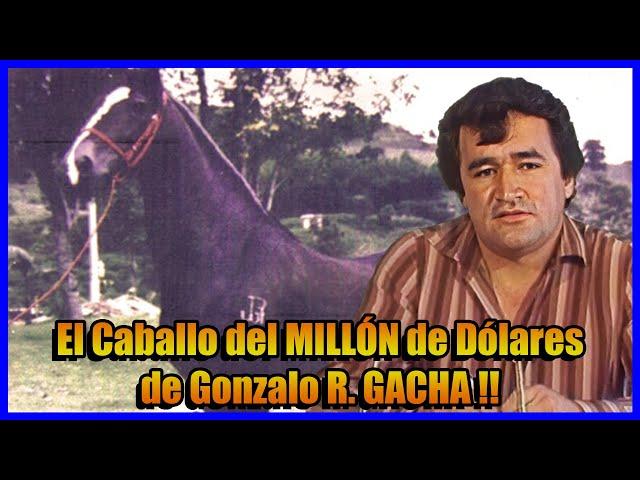 TUPAC AMARÚ : El Caballo de GONZALO Rodríguez GACHA