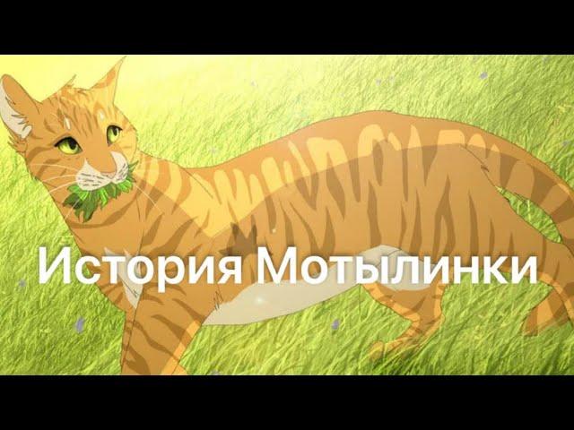 История Мотылинки(по просьбе подписчицы)/Коты-воители