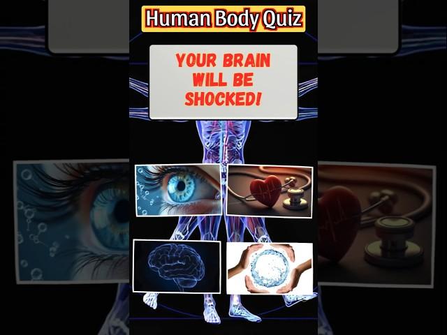 Guess the Human Body – Part 1  #shorts