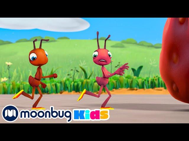 Hotshots | ANTIKS | Moonbug Kids - Funny Cartoons and Animation