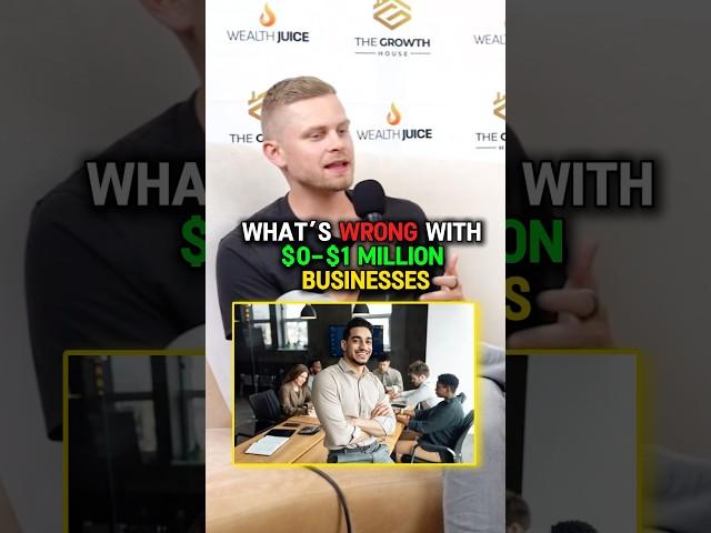 What’s Wrong With $0 - $1 Million Businesses