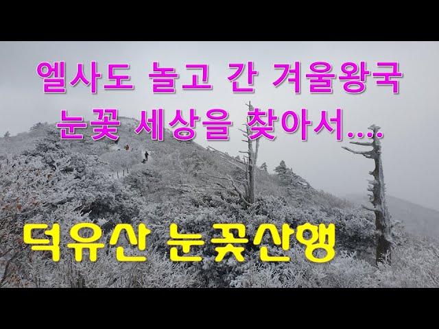 덕유산 눈꽃산행, 엘사도 놀고 간 겨울왕국, 온통 눈꽃세상을 찾아서...