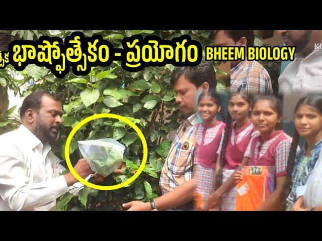 Transpirition in plants#భాష్ఫోత్సేకం#RamchanderBheemvamshi