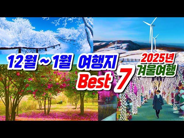 12월~1월 추천여행지 , 겨울 여행지 베스트 7,  발왕산, 에코랜드, 덕유산, 대둔산, 청도프로방스, 계방산, 선자령, , 겨울 국내추천여행지, 12월 가볼만한 곳