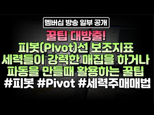 꿀팁 대방출! 피봇(PIvot)선 보조지표 세력들이 강력한 매집을 하거나 파동을 만들때 활용하는 꿀팁 #피봇 #Pivot #세력주매매법