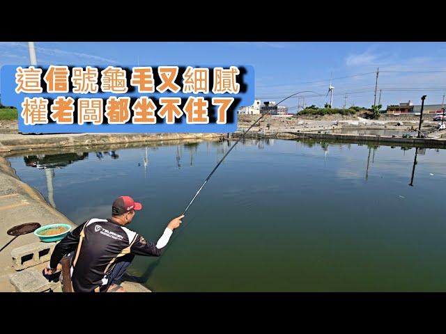 【福壽魚之章】這龜毛又細膩的信號，搞到權老闆坐不住了！