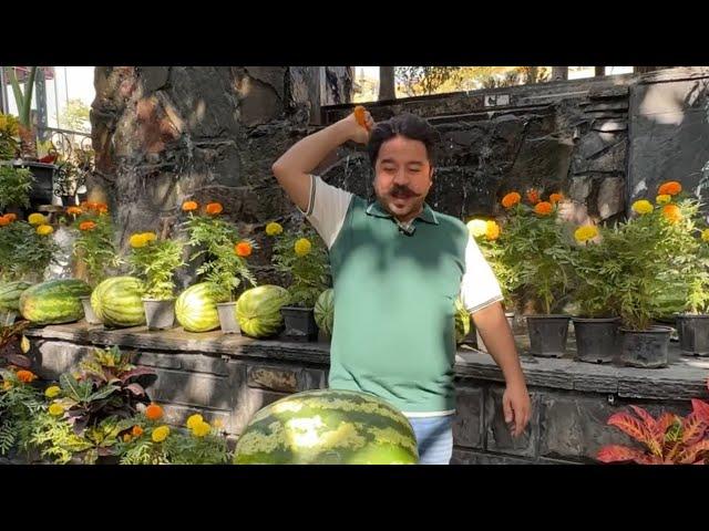 بدو بدو که قیمت‌ها اینجا نصف شد  | Magical Moments at Farahzad's Top Garden Spot!