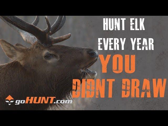 Hunt Elk Every Year: How You Can Still Hunt Elk This Year with goHUNT INSIDER