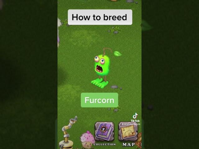 How to breed furcorn 